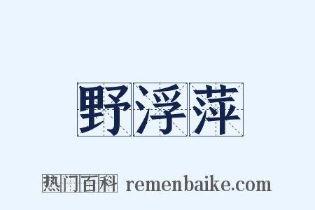 野浮萍是什么意思的图片